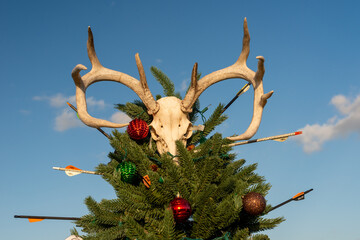 A balsam fir outdoor Christmas tree with red metal balls and hunting arrows. The deer horn tree has...