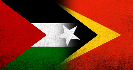 Flag of Palestine and The Democratic Republic of Timor-Leste (East Timor) National flag. Grunge background
