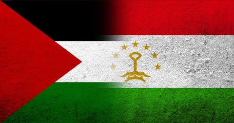 Flag of Palestine and The Republic of Tajikistan National flag. Grunge background