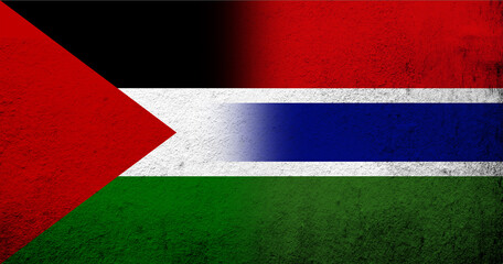 Flag of Palestine and The Republic of The Gambia National flag. Grunge background