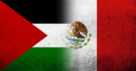 Flag of Palestine and The United Mexican States (Mexico) National flag. Grunge background