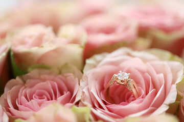 Gold diamond engagement ring in beautiful pink rose flower among big amount of roses in big bouquet close up with blurred background