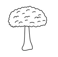 Tree Hand Drawn Cute Lines Icon Vector 