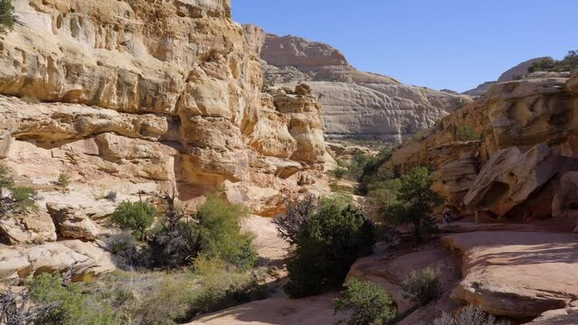 Establishing shot of mountain trail with red rocks background in Hickman Natural Bridge Trail, Capital Reef National Park, Utah, North America. Day time on October 2023. Still camera view. ProRes 422 