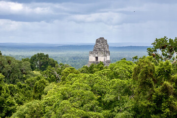 Fototapeta na wymiar Mayan pyramid in the jungle at Tikal ruins in Guatamala