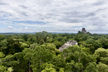 Fototapeta na wymiar Mayan pyramid in the jungle at Tikal ruins in Guatamala