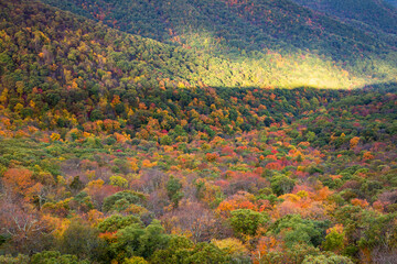 colorful mountains in fall on the Blue ridge parkway
