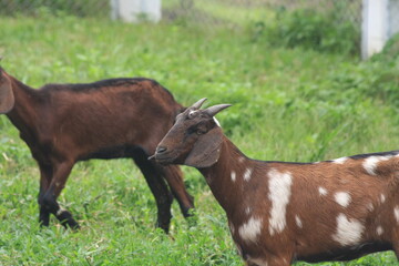 beautiful nature relax