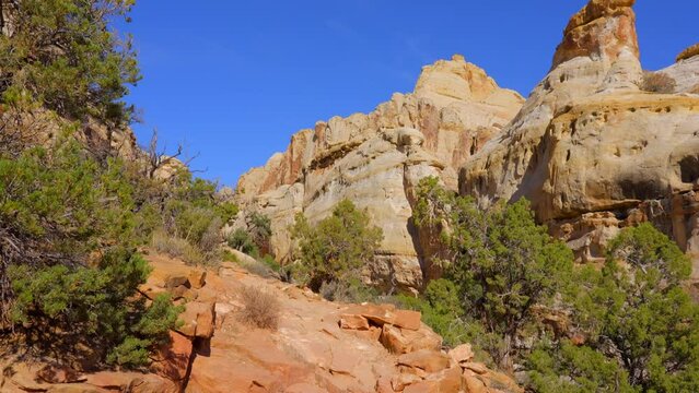 Establishing shot of mountain trail with red rocks background in Hickman Natural Bridge Trail, Capital Reef National Park, Utah, North America. Day time on October 2023. Still camera view. ProRes 422 