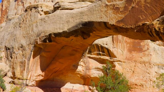 Establishing shot of mountain trail with red rocks background in Hickman Natural Bridge Trail, Capital Reef National Park, Utah, North America. Day time on October 2023. Still camera view. ProRes 422 
