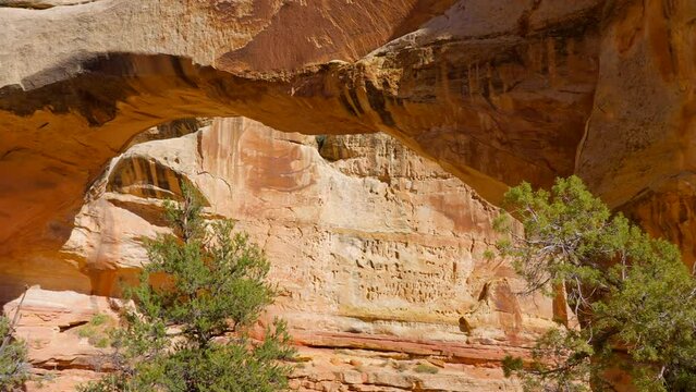 Establishing shot of mountain trail with red rocks background in Hickman Natural Bridge Trail, Capital Reef National Park, Utah, North America. Day time on October 2023. Still camera view. ProRes 422 