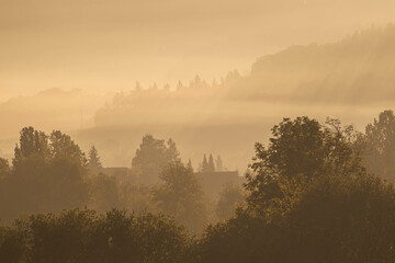 Atmospheric landscape with trees at sunrise and fog glowing orange in Bad Pyrmont, Germany.