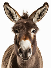 Fototapeta premium Donkey Studio Shot Isolated on Clear White Background, Generative AI