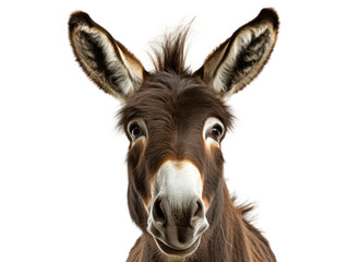 Obraz premium Donkey Studio Shot Isolated on Clear White Background, Generative AI