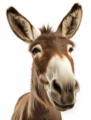 Obraz premium Donkey Studio Shot Isolated on Clear White Background, Generative AI