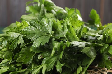 Fresh green parsley leaves with water drops on blurred background, closeup