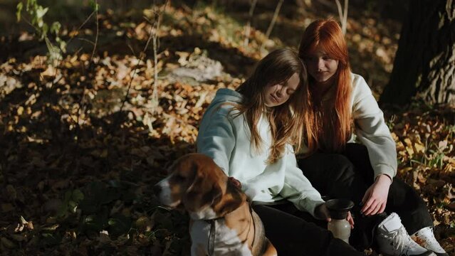 Teenage girls resting with their cute dog. A short stop after an active walk in the forest. The girls stroke their dog's back and enjoy the conversation.
