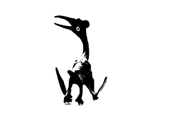 black dinosaur silhouette isolated on white background, model of pteranodon toys © sutichak