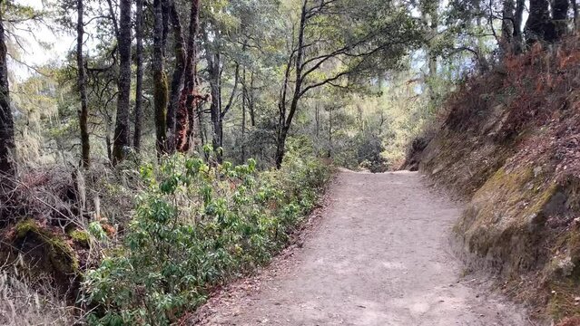 Hiking through Tiger Nest Temple, Paro, Bhutan.