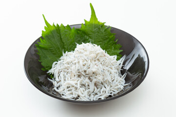 白背景に釜揚げシラス