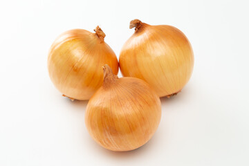 白背景にタマネギ