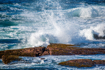 Daytime coastal views at The Entrance