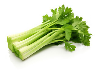 Fresh Celery Isolated on white background