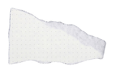 Pieces of torn paper on transparent background png file