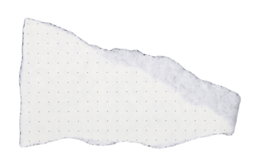 Pieces of torn paper on transparent background png file