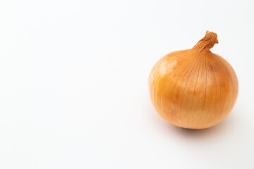白背景にタマネギ