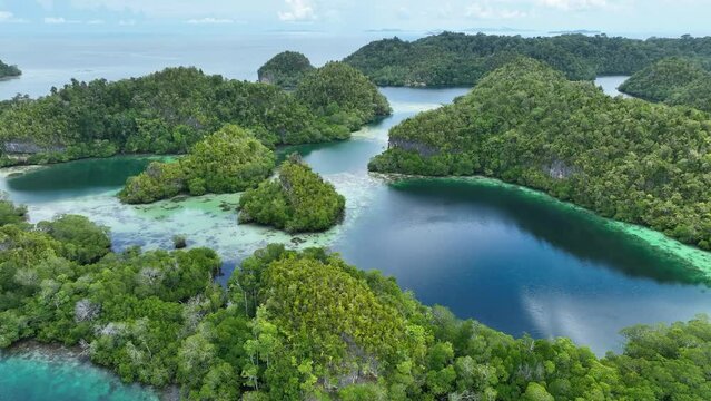 The incredibly scenic islands of Pef are fringed by mangrove trees and surrounded by beautiful coral reefs. These islands, found in northern Raja Ampat, support an amazing array of biodiversity.