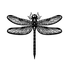 Dragonfly Vector Logo Art
