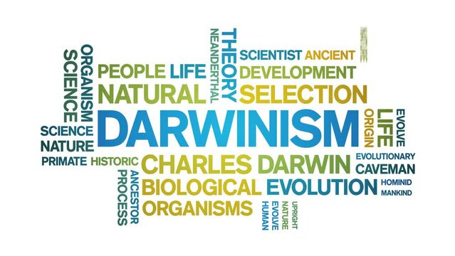 Darwinism animated tag word cloud;text design animation kinetic typography seamless loop.