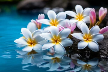 Fotobehang Tranquil Oasis Frangipani Blooms in Serene Blue Surroundings © Muh