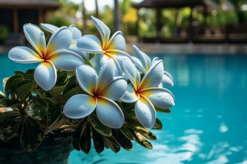 Foto op Canvas Tranquil Oasis Frangipani Blooms in Serene Blue Surroundings © Muh