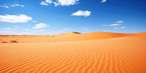 a sand dunes in the desert