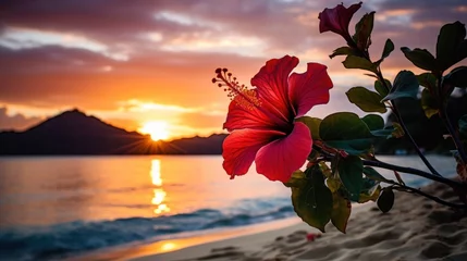  a flower on a beach © sam