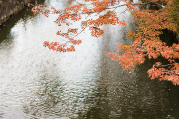 水面に映る紅葉