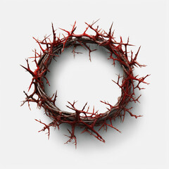 Fototapeta premium crown of thorns isolated on white