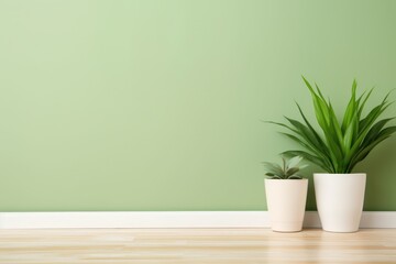 Fototapeta premium two potted plants in a room