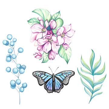 Watercolor tropical set, clip art. Blue monarch butterfly. Japanese cherry blooming, sakura art. Apple tree bouquet. Pink flowers. Cut out