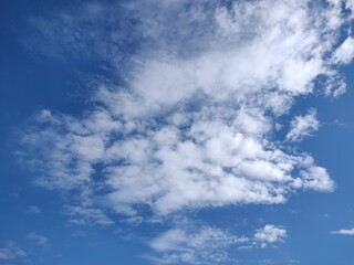 Fototapeta premium 東京のそら(23.11..13)