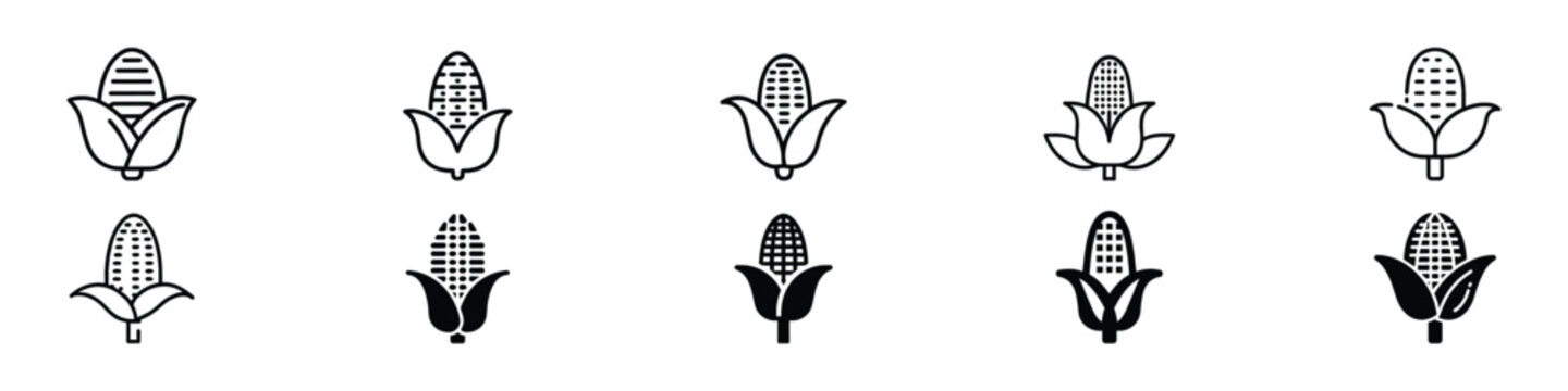 Corn icon, Ear of maize icon, Corn line icon. Ear of corn vector sign. Editable stroke. Corn Icons, Corn line icon. Vegetarian, vegan, harvest. Vegetables concept. Corn icon. vector corn icon