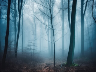 Obraz premium Misty autumn forest in the morning. Forest Trees in fog. Mystic Forest. Foggy Nature Landscape
