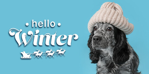 Cute dog wearing warm hat on blue background. Hello winter