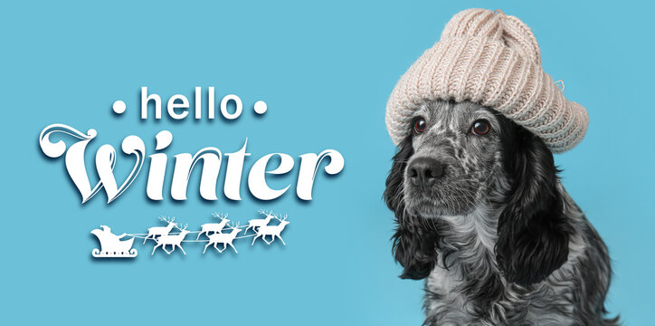 Cute dog wearing warm hat on blue background. Hello winter