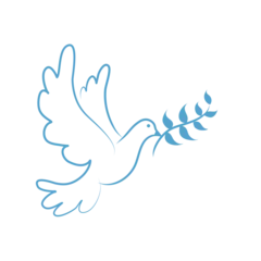 Fotobehang dove of peace © Bayon
