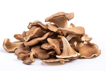 Dried mushrooms on white background