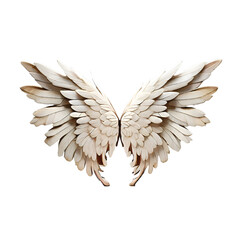 Fototapeta premium A birds wings golden and white background 3d render. generative Ai