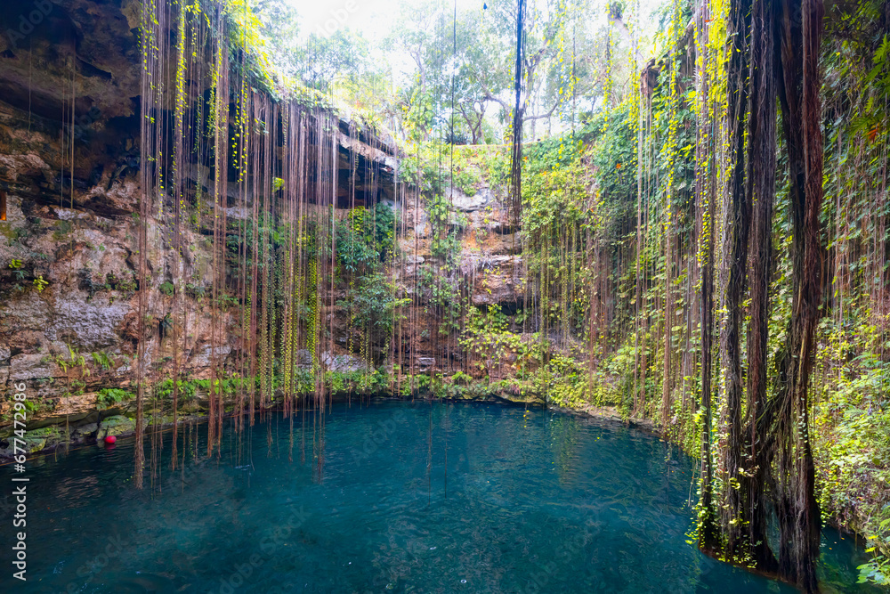 Wall mural Ik-Kil Cenote - Lovely cenote in Yucatan Peninsulla with transparent waters and hanging roots. Chichen Itza, Mexico